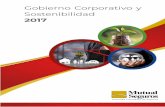 Informe de Gobierno Corporativo y Sostenibilidad 2017