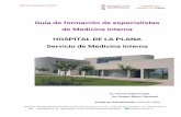 Guía de formación de especialistas de Medicina Interna ...