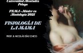 FISIOLOGÍA DE LA MAMA Y LA LACTANCIA