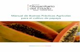 Manual de Buenas Prácticas Agrícolas para el cultivo de papaya