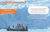 TOUR 3 DÍAS & 2 NOCHES A - Whalesound