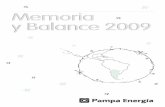 Memoria y Balance 2009 - ri.pampaenergia.com
