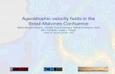 Ageostrophic velocity ﬁelds in the Brasil-Malvines Conﬂuence