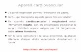Aparell cardiovascular - XTECBlocs