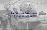 La Práctica Anestésica en Pequeños Animales