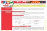 Información práctica sobre elaboración de vino