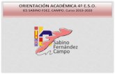 IES SABINO FDEZ. CAMPO. Curso 2019-2020