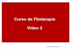 Curso de Fitoterapia Vídeo 3 - escuelaparaterapeutas.com