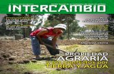 La PROPIEDAD AGRARIA - INTERCAMBIO