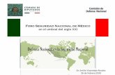 Foro Seguridad Nacional de México en el umbral del siglo XXI