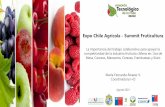 Expo Chile Agrícola - Summit Fruticultura