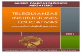 TELEGUIANZAS INSTITUCIONES EDUCATIVAS