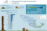 Panorama de la deforestación en México v3 16 09 2020