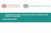 Indicadores e Instrumentos del Sector productivo del ñame ...