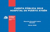 CUENTA PÚBLICA 2019 HOSPITAL DE PUERTO AYSÉN
