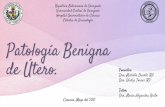 Patología Benigna de Útero.
