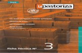 Ladrillos - Ladrillos Huecos - Portantes | La Pastoriza