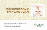 Feocromocitoma e Paraganglioma