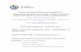 PLIEGO DE CONDICIONES PARTICULARES (PCP)
