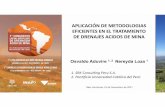 APLICACIÓN DE METODOLOGIAS EFICIENTES EN EL TRATAMIENTO DE ...