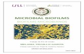 BIOFILMS MICROBIANOS