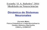 Dinámica de Sistemas Neuronales