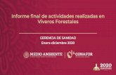 Informe final de actividades realizadas en Viveros Forestales