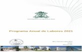 Programa Anual de Labores 2021