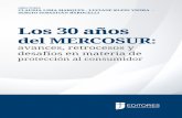 Los 30 años del MERCOSUR