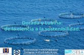 ACUICULTURA Y SOSTENIBILIDAD - Observatorio Español de ...