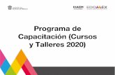 Programa de Capacitación (Cursos y Talleres 2020)