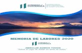 MEMORIA DE LABORES 2020 - AMSCLAE