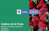 Cadena de la Fresa - minagricultura.gov.co