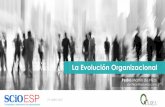 La Evolución Organizacional - systems practice