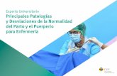Experto Universitario Principales Patologías y ...