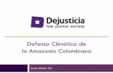Defensa Climática de la Amazonía Colombiana