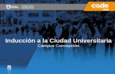 Inducción a la Ciudad Universitaria (Chillán – Los Ángeles).
