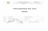 PROGRAMA DE SSO 2020. - asemchile.cl