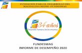 FUNDESMAG INFORME DE DESEMPEÑO 2020