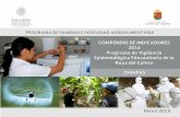 COMPENDIO DE INDICADORES 2014 Programa de Vigilancia ...