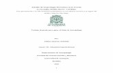 Estudio de Arqueología Preventiva en la Vereda La Granjita ...