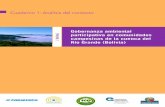 Gobernanza ambiental [ Bolivia] participativa en ...