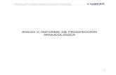 ANEXO V: INFORME DE PROSPECCIÓN ARQUEOLÓGICA