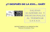 SALIDAS ACADÉMICAS Y PROFESIONALES AL TERMINAR LA E.S.O.