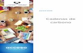 Cadenas de carbono - UPV/EHU