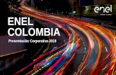 Presentación Corporativa Enel Colombia 2019