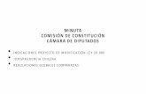 MINUTA COMISIÓN DE CONSTITUCIÓN CÁMARA DE DIPUTADOS