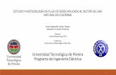 Universidad Tecnológica de Pereira Programa de Ingeniería ...