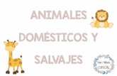 ANIMALES DOMÉSTICOS Y SALVAJES - MIRADA ESPECIAL