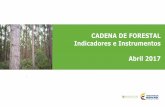 CADENA DE FORESTAL Indicadores e Instrumentos Abril 2017